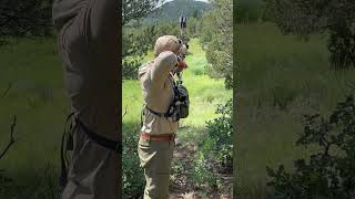 110 yard Elk shot at Hike to Hunt #3darchery #archery #bowhunting #elk #shorts #elkhunting
