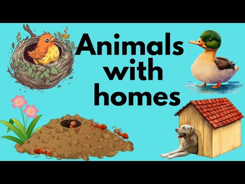 Animals with Their homes|Animals houses|Animals shelter| Kids learning