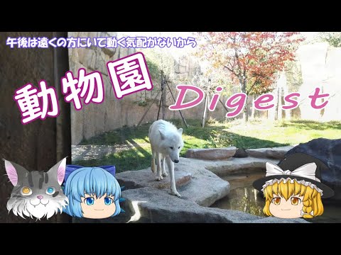 【ゆっくり】動物園、いっきに見てみましょう