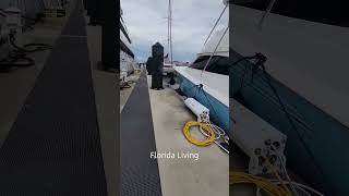 Florida Living Yacht Fail. #yacht #yachts #yachtworld #yachting #yachttour #fernadinabeach