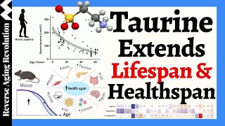 TAURINE Extends Lifespan & Healthspan