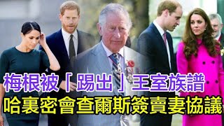 梅根被踢出王室族譜倒計時！哈裏密會查爾斯簽「賣妻協議」，威廉暗中啟動「禿鷹計劃」，王室三巨頭聯手做局，梅根恐失子女撫養權和2400萬珠寶！#梅根#哈裏王子#查爾斯國王#威廉