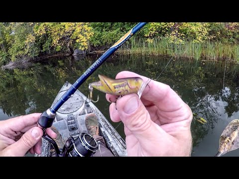 Fishing A Tiny Grasshopper Lure For Big Bass!