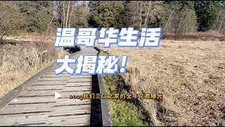 温哥华生活大揭秘！2023我们三口之家的全年花费曝光，让你看清真实的生活花销！