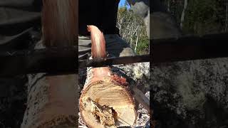 Tiny Log Cabin Prep | Peeling Logs