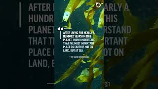 Water is life #waterwisdom #ocean  #oceanconservation #quotes