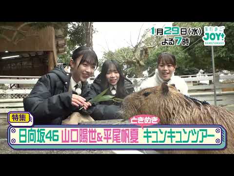 #Shorts 日向坂46 山口陽世＆平尾帆夏　キュンキュンツアー 0129　生たまごJOY！