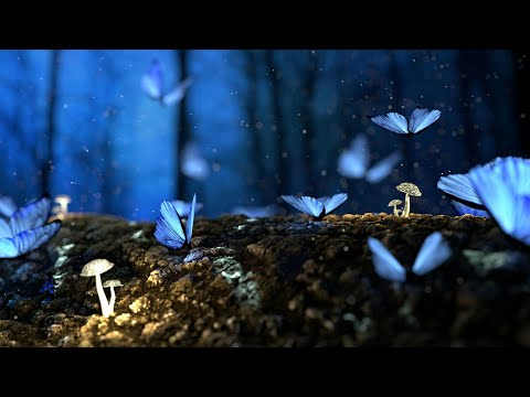 ✨20 Minutes ✨ of #meditation to Calm Down #beautiful #relaxing #musicforthesoul