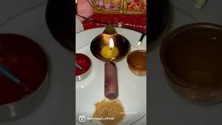 Krishna Janamashtmi celebrations in Germany 🇩🇪 || Karlsruhe || Festival Vlog || @thatwisegirl_official