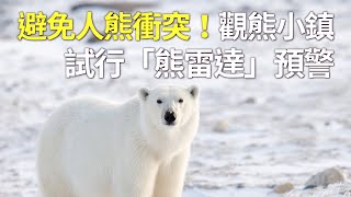 避免人熊衝突！觀熊小鎮試行「熊雷達」預警 - 北極熊攻擊人 - 新唐人亞太電視台