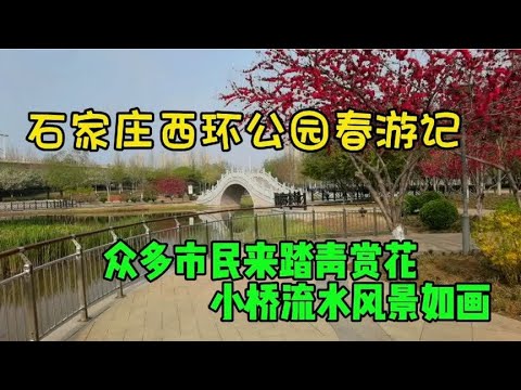 石家庄西环公园春游记，众多市民来踏青赏花，小桥流水景色宜人！