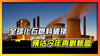 全球化石燃料碳排　預估今年再創新高