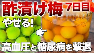 【酢漬け青梅】酢とのダブル効果がすごい！やせる・血圧・血糖値改善！最強梅干しを7日で作る【管理栄養士】