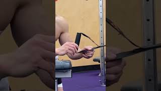 Grow BIGGER Forearms (DO THESE!)