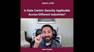 Is Data-Centric Security Applicable Across Different Industries?