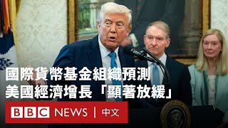 IMF下調美國經濟增長預測 警告關稅將重創美國自身－ BBC News 中文