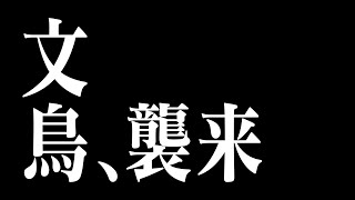 【オスタラWS】決戦、多様性の向こうへ。現代魔女VS資本主義アンチテーゼ / こども・発達障害・ADHD「せめて、文鳥らしく。」