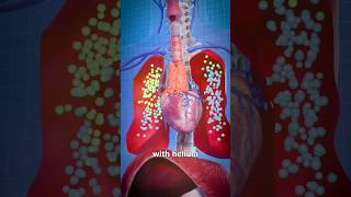 How Helium Causes Oxygen Deprivation 😨 - Meme