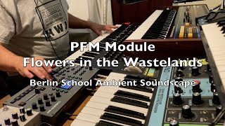 Flowers in the Wastelands Berlin School Ambient Soundscape. Juno 60/Microcsm Prophet X Octatrack