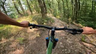 Angry Mouse Trail - Enduro MTB Solingen