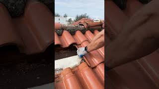 Bat Nest Found In My Roof 🦇🏠 #bats #roofing Credit: Viralhog