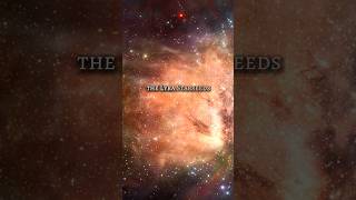 Signs You Are a Lyrans Starseed 🌟