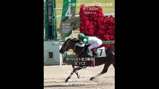 JBC佐賀当日 1〜4レースゴール前 山口勲騎手2勝、4Rは川須栄彦騎手が勝利