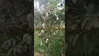 সূরা কদর#কোরআন_তিলাওয়াত  #পবিত্রকোরআনতেলাওয়াত #waz #viral