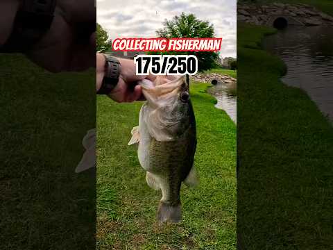 Where’s my Finesse Anglers at 🎣🔥#veteranfishing #texasfishing #finessefishing #ultralightfishing
