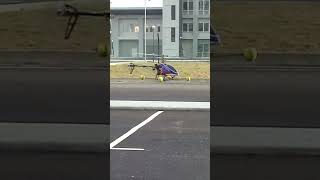 HOW I LEARNED FLYING RC HELI 15 YEARS AGO#rchelicopter