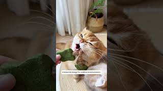 Matatabi Cat Toy:Perfect for playful kittens!Chew, chase, and have fun!