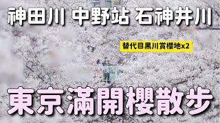 東京櫻花🌸 目黑川大修剪不壯觀可去哪？神田川面影橋 中野站天橋西武電車櫻花 石神井川｜日本旅遊 4K VLOG