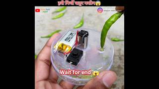 DIY green chilli cutter machine ||#shorts #dcmotor #ytshorts #experiment @:-‎⁨@TechnicalIND⁩ 