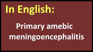 Primary amebic meningoencephalitis arabic MEANING