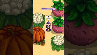 Grow Giant Crops On Your Farm in Stardew Valley! #stardew