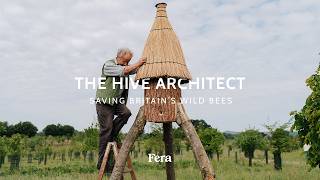 The Hive Architect | Saving Britain's Wild Bees
