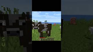 Minecraft texture packs 💀 (part 6)