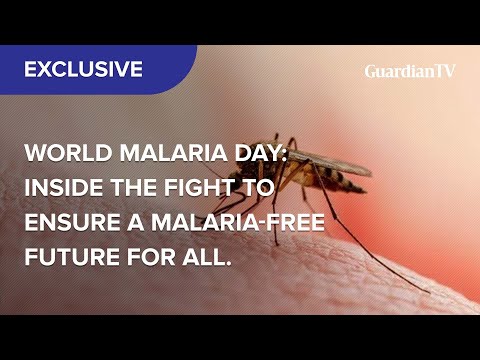 World Malaria Day 2025: Inside the fight to ensure a malaria-free future for all