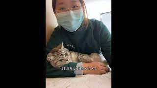 我的工作日常#是宠物更是家人 #我的小猫咪 #我的工作日常 #猫咪
