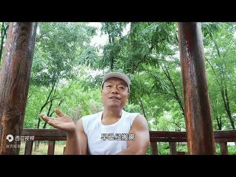 惊心动魄的微山湖之争，山东、江苏大规模械斗400起，济宁赢了吗