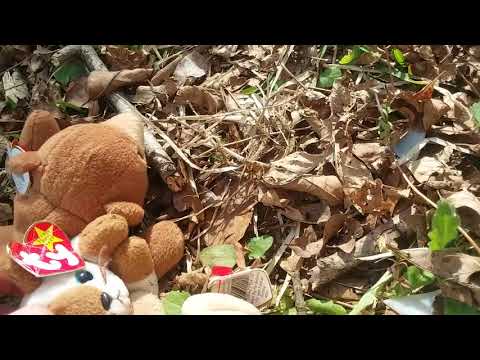 Abandoned  Episode 1: getting stated