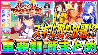 "女神の叡智"ステ&スキル爆盛り!?新シナリオ重要知識まとめ!!3女神の優先度＋育成の流れ解説【ウマ娘 グランドマスターズ ぱかライブTV チャンミ ピスケス杯 知識の欠片 知識の結晶 2周年】