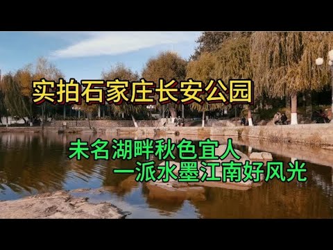 实拍石家庄长安公园！未名湖畔秋色宜人，一派水墨江南好风光。