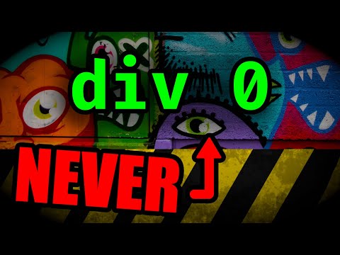 NEVER divide by 0 in Assembly Language!