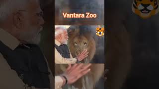 Modi inaugurated Vantara, wildlife conservation, rescue and rehabilitation  in Jamnagar, Gujarat.