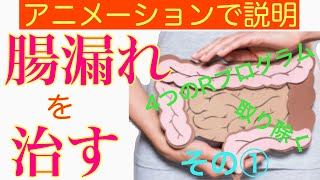 【6分で説明】リーキーガットを治す　その1　リーキーガットを出現させる食品等の除去について