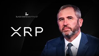 Ripple CEO Brad Garlinghouse Defends XRP in Senate Hearing