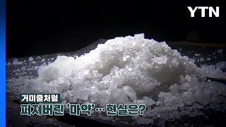 [뉴스라이브] 영화 속 거미줄처럼 퍼진 '마약'...현실은? / YTN