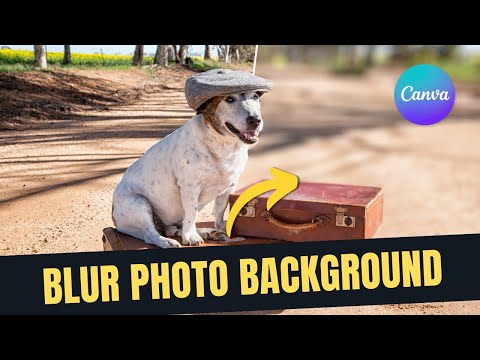 How to Blur Background of an Image in Canva