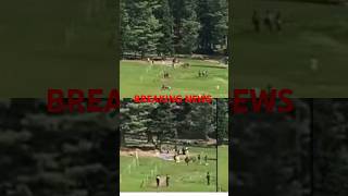 BREAKING: India-Pakistan Tensions Escalate! Modi Vows Harsh Response to Pahalgam Attack #news #live